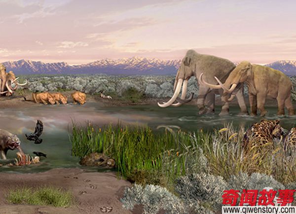 1.5万年前巨型动物死于地球太湿润