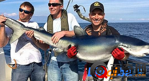 垂钓者英海域捕获蓝鲨 重228斤打破58年来纪录