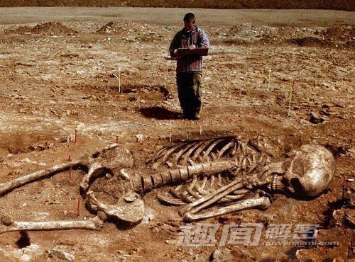 考古巨人遗骸挖掘真相：巨人遗骸真的存在吗？