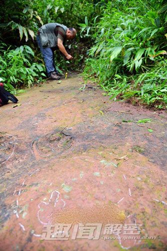 四川某市发现白垩纪时期恐龙足迹