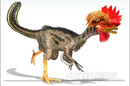 科学实验探究 小鸡变恐龙是否能成功？
