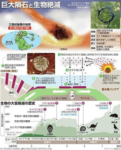 日本声称有2亿年前巨大陨石撞击地球证据 这或导致了生物灭绝