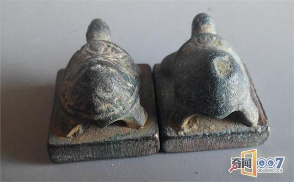 维修祖坟发现“石龟”，兴奋不已