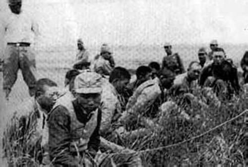 二战期间,有多少冲绳居民被日军屠杀或被日军强迫而自杀-