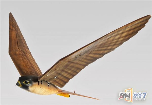 3D打印仿真机器鸟 机器猛禽“以假乱真”