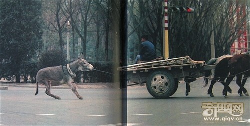 外国人拍摄的一组1970年代的北京老照片
