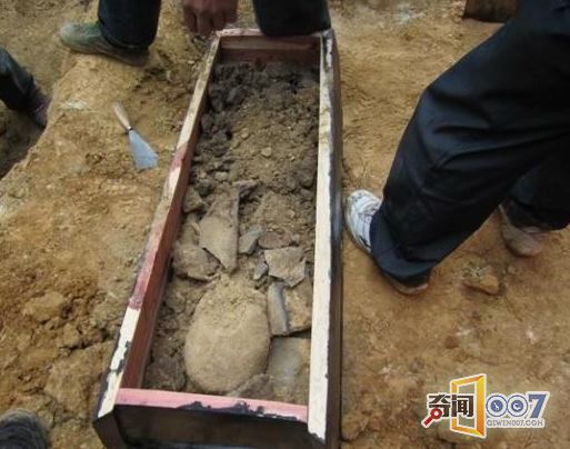 维修祖坟发现“石龟”，兴奋不已