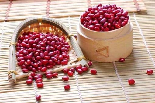 红豆为何会被古人寄托相思之情-红豆为何会被称为相思豆-