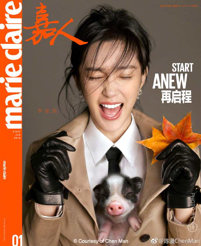 李冰冰抱了一只猪拍杂志，陈漫：找井柏然借的