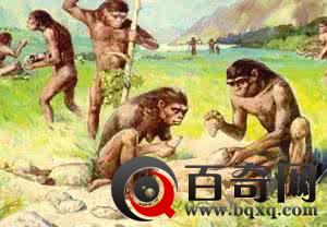 北京猿人是怎么回事 北京猿人是怎么生存的