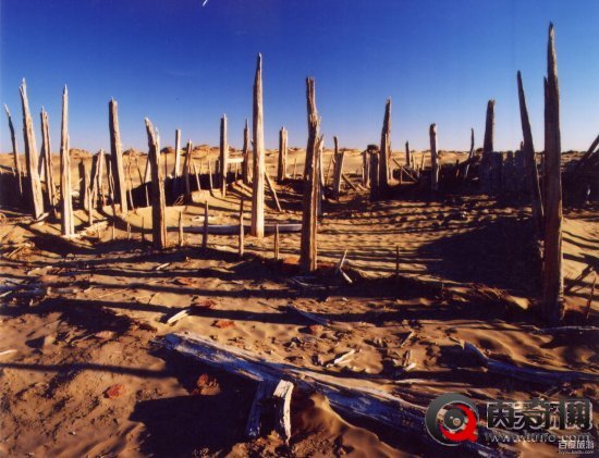 新疆沙漠现千年古城 尸骨满城珍宝无数