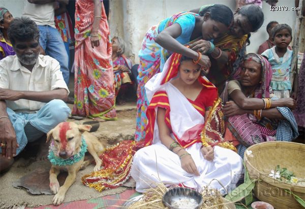 印度18岁女子竟与流浪狗结婚 为村庄抵御厄运