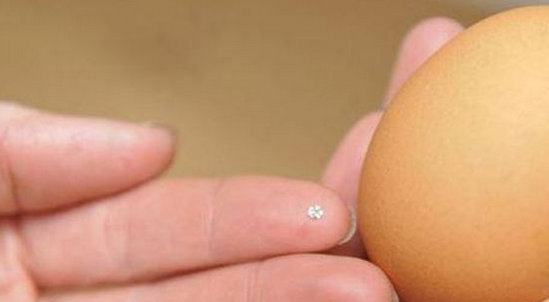 女子吃鸡蛋吃到钻石 钻石竟然在鸡蛋里_0