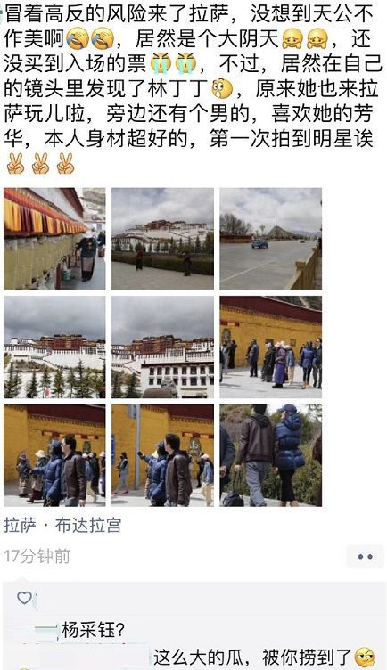 网曝刘亦菲“干爹”和杨采钰已经领证，两人还被拍一起到拉萨游玩