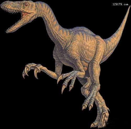 甘肃发现亚洲最多、最完整的恐爪龙类足迹 被命名为永靖驰龙足迹