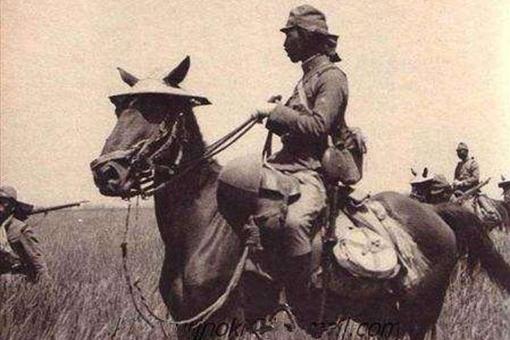 抗战期间日本拥有骑兵部队,那么多的东洋马日本是从哪弄来的-