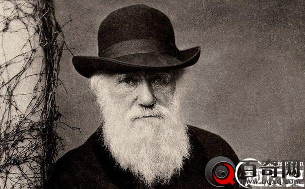 以客观角度看进化论：达尔文进化论被推翻了吗
