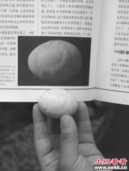 九江市民家中发现奇特的“彗星蛋”_0