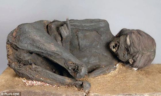 印加千年女干尸据科学家称因头部遭重击致死【图文】