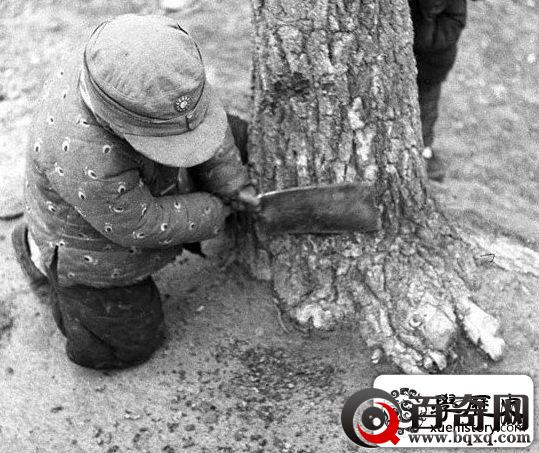比电影中还要要惨，老照片还原最真实的河南1942大饥荒