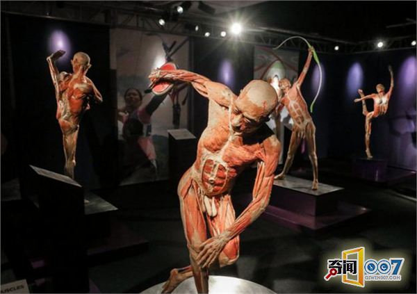 罗马“人体世界”塑化尸体展：惊悚震撼