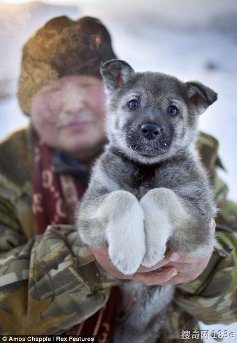 零下71.2℃寸草不生～世界最寒冷村庄 俄国奥伊米亚康