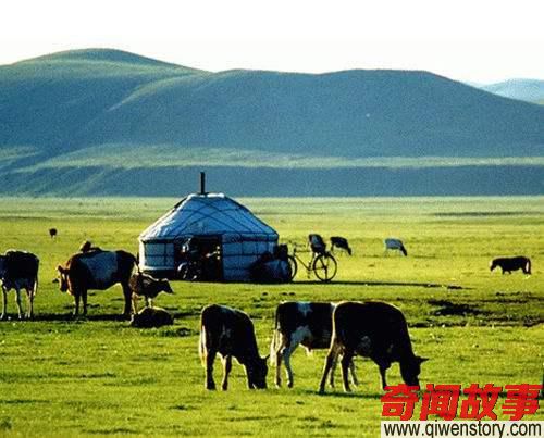 住在蒙古国的乡下 每天吃肉 是怎样的体验-