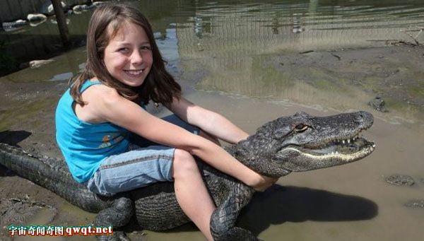家办动物园6岁学驯鳄 美国9岁女童空手驯服鳄鱼如宠物