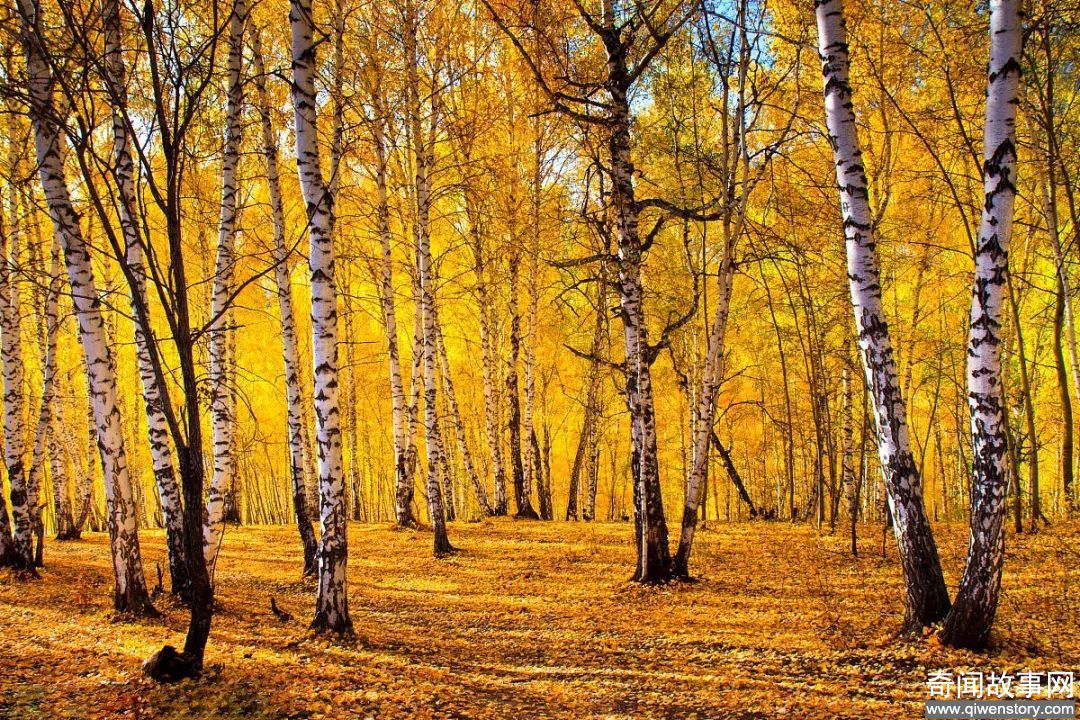 乌兰布统的秋天，是大自然奉送的美丽，美哭了全世界！