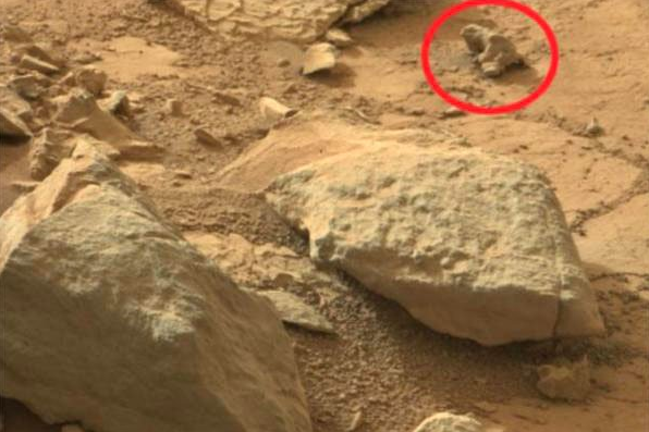 好奇号在火星上拍到神秘生物 外形酷似鬣蜥