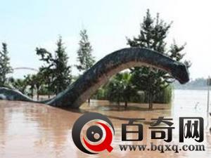 重庆大洪水发现了龙之谜 曝光重庆大洪水真龙照片揭秘