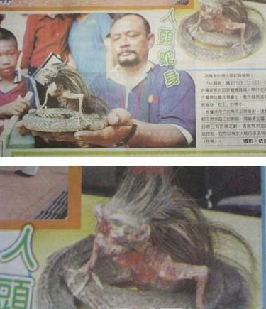 印尼发现人头蛇身怪物 农村惊现人头蛇身的女人_0