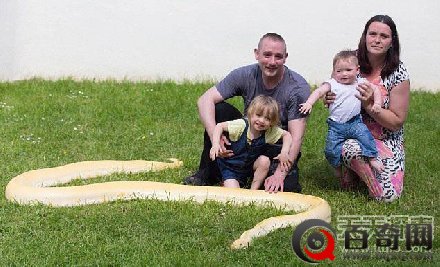 2岁女童拥抱蟒蛇玩亲密 家中养19条蛇