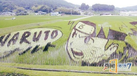 日本的稻田艺术：堪称日漫展！