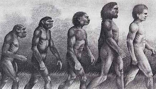 科学家称：人类50年后将进化为新种群