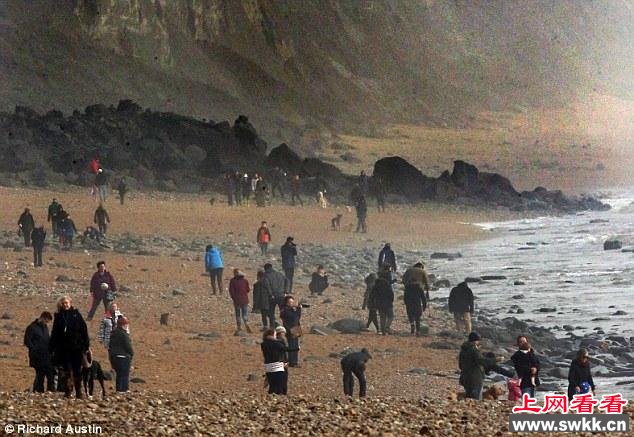 英国悬崖倒塌出现大量古生物化石 图_0