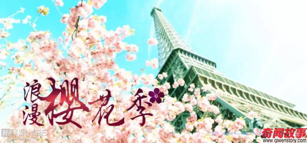 樱花都开好了 史上最牛巴黎樱花游赏地图