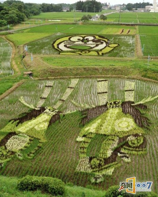 日本的稻田艺术：堪称日漫展！