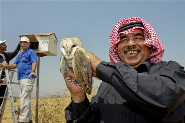 和平之鸮：跨越中东边境的自然保护