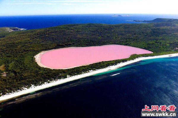 美到让人窒息的湖塞内加尔玫瑰湖