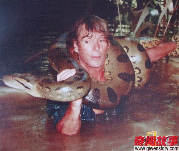 世界上最大的蛇：亚马逊森蚺（10米以上重250公斤）