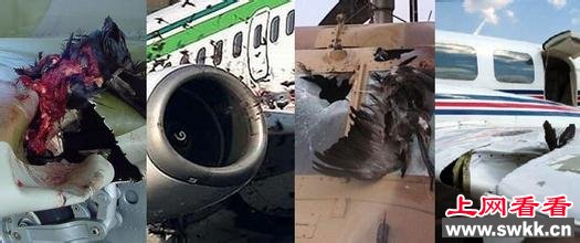 印度航空一名机务人员在孟买机场被吸入飞机发动机身亡 图
