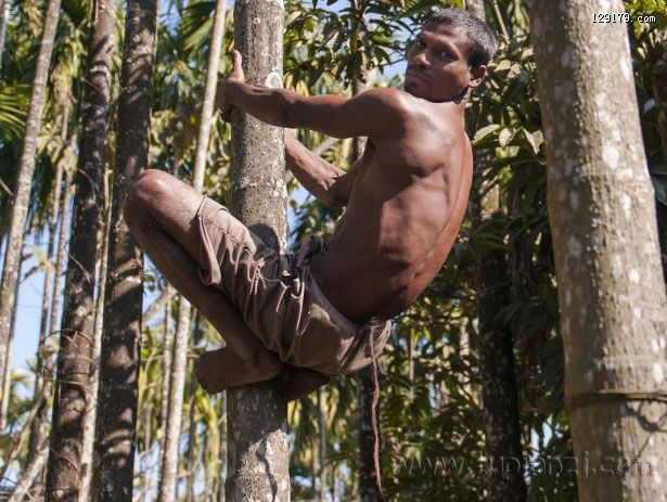 印度奇男子长37厘米尾巴被奉为“猴神”