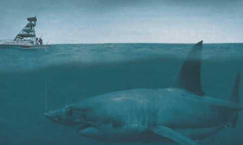 史前巨齿鲨真的存在吗 史前巨齿鲨复活了吗
