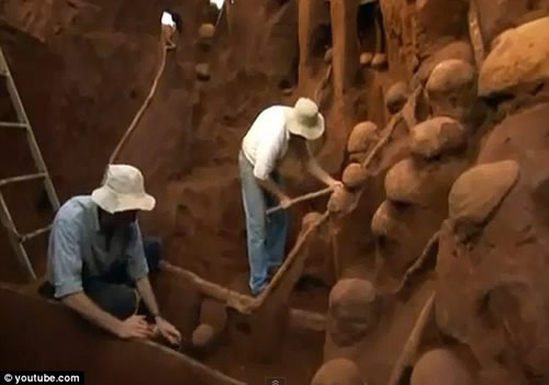 巨大地下蚂蚁王国 规模堪比中国的长城