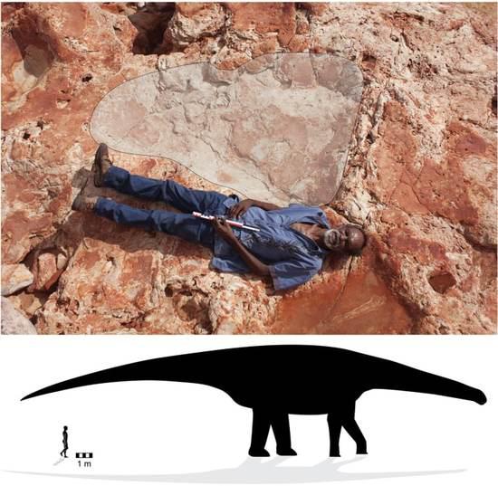 澳大利亚发现世界最大恐龙脚印 脚印里能躺人历史考古 宇宙探索 第3张