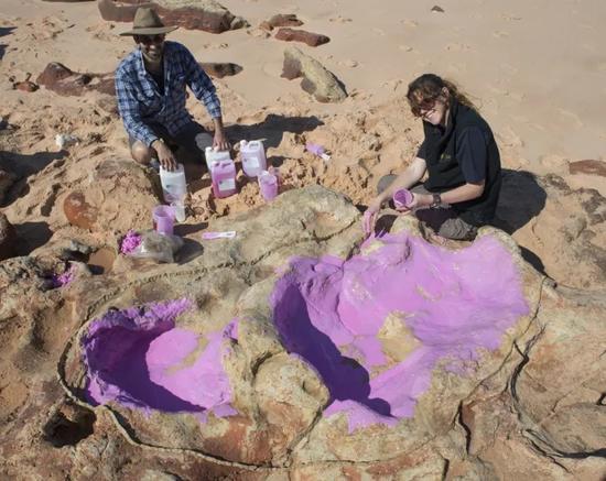 澳大利亚发现世界最大恐龙脚印 脚印里能躺人历史考古 宇宙探索 第2张