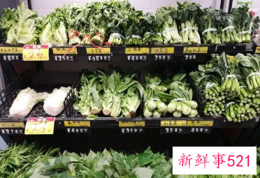 蔬菜价格为什么仍将高位运行