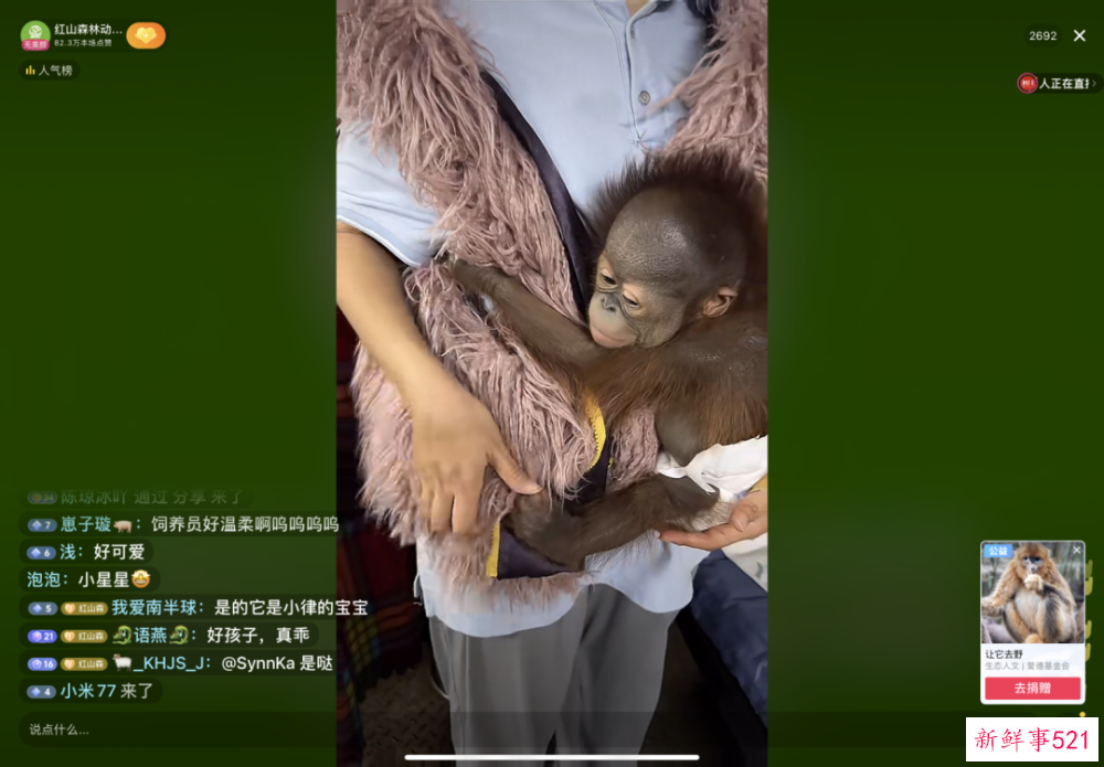 “揭不开锅了”！南京一动物园直播筹款：不是我们在养动物，是动物在养我们