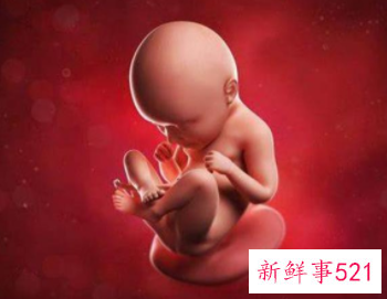 六到七个月胎儿主要发育哪里